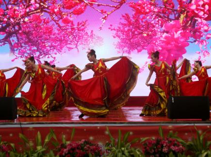 ��������������Ԫ�����ջ��ݻ��Ӱ